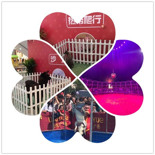 Translation Service for 'Sea Lion Performance Rental and Bird Exhibition in Luxi County'